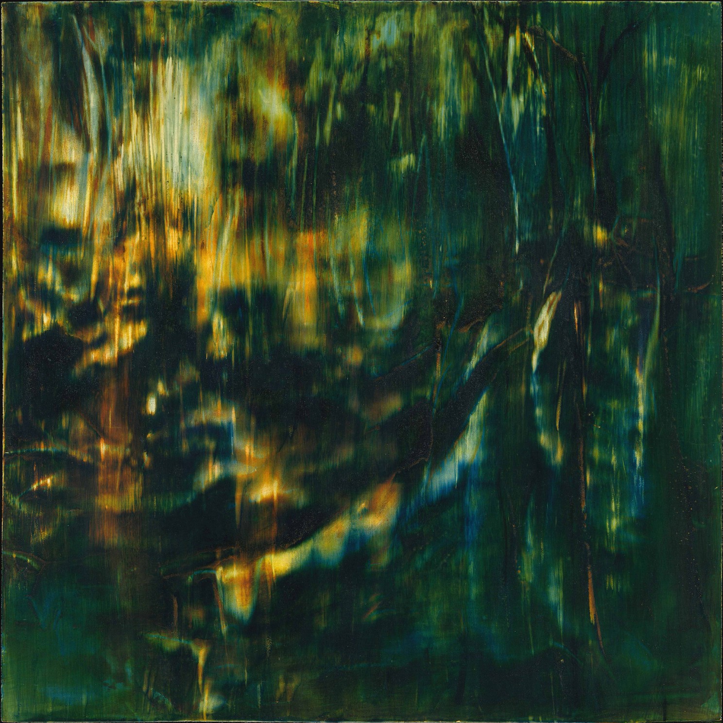 Muldoon-dark forest-50x50 - sold