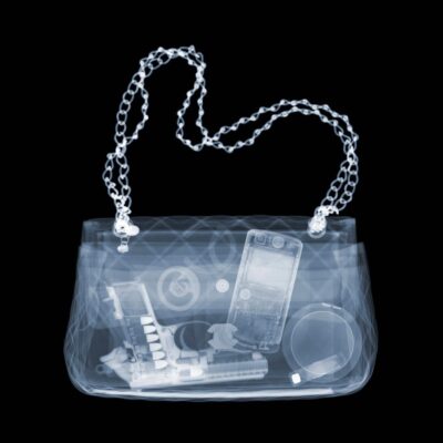 XRay Purse