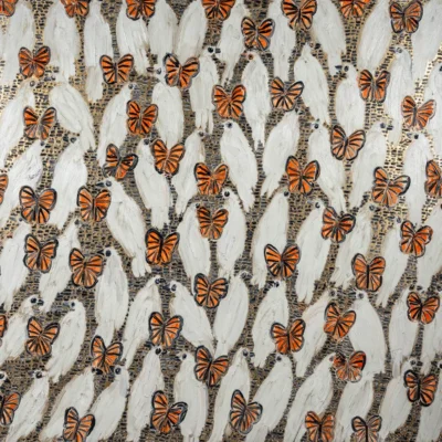 Butterfly Network