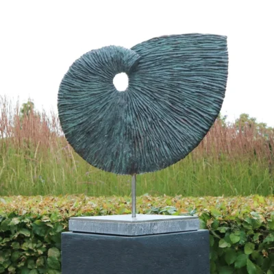 Ian Marlow Ammonite Bronze