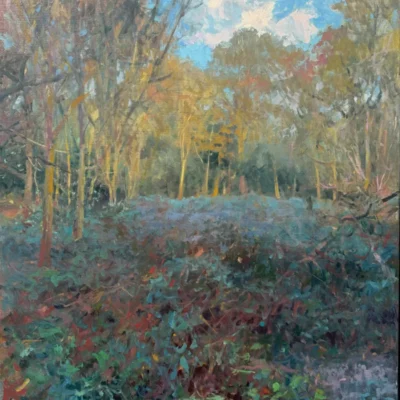 Decent Woodland Glade