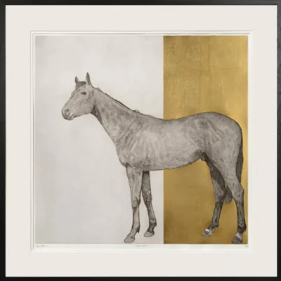 Equine regular