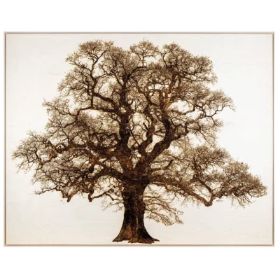 Lonely Oak