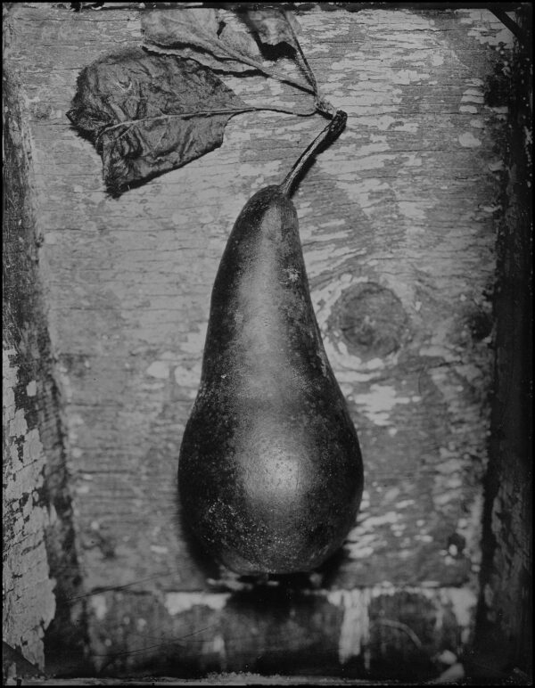 Pear
