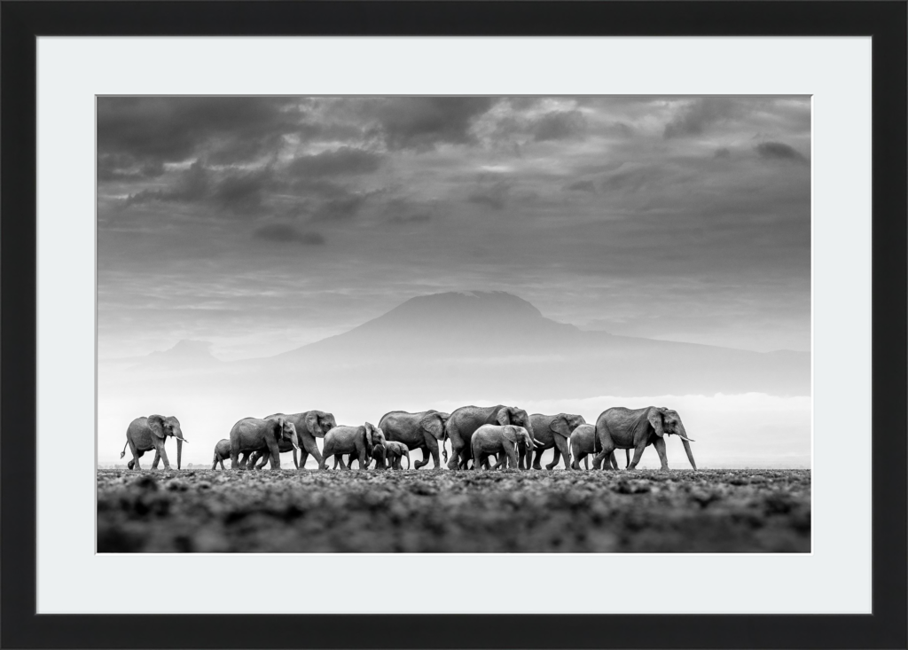 African Icons