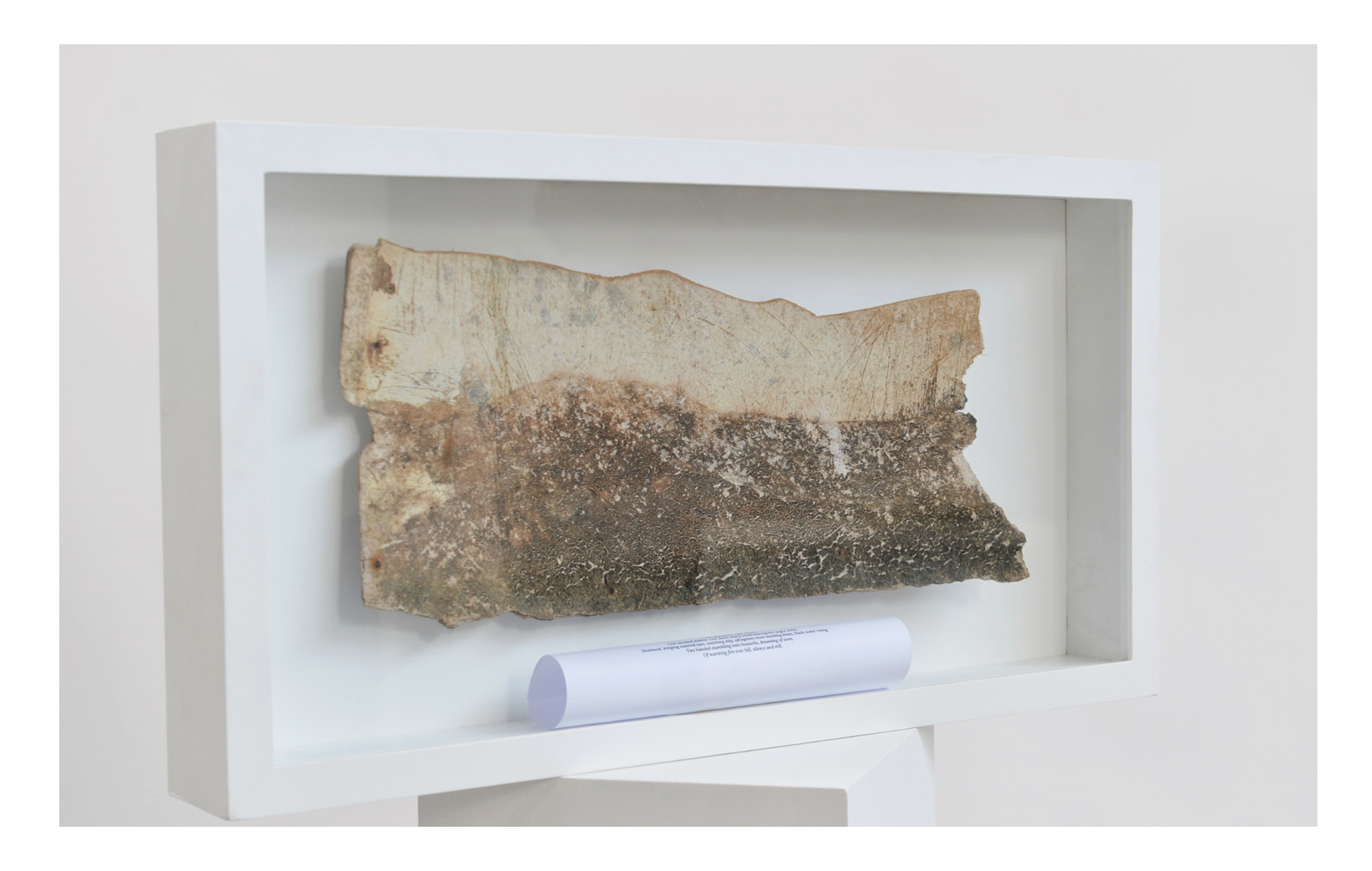 Moor - Wood, paper, glass - 79 x 42 x 16 cm