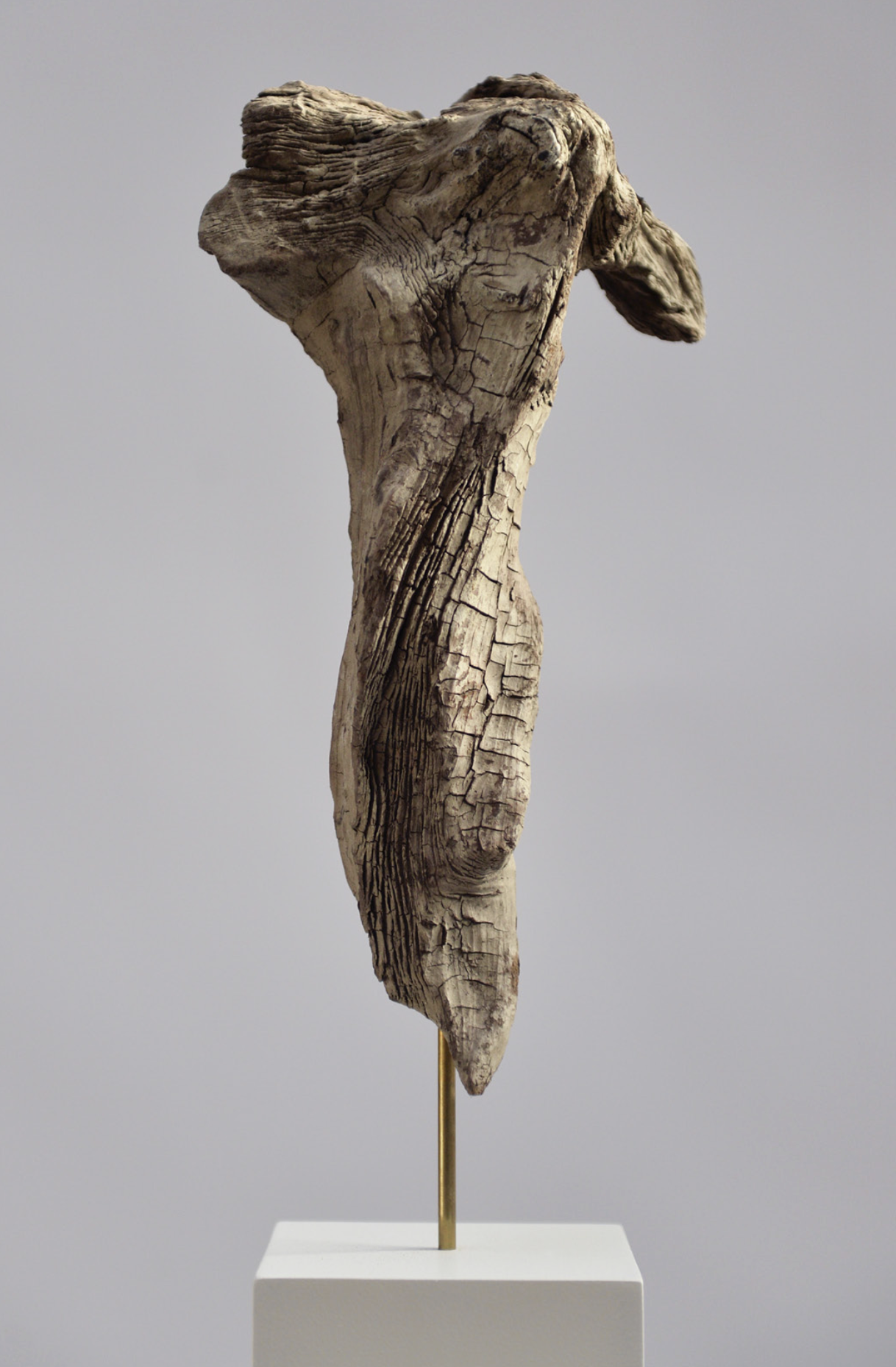 Silk - Wood, brass - 20 x 55 x 12cm