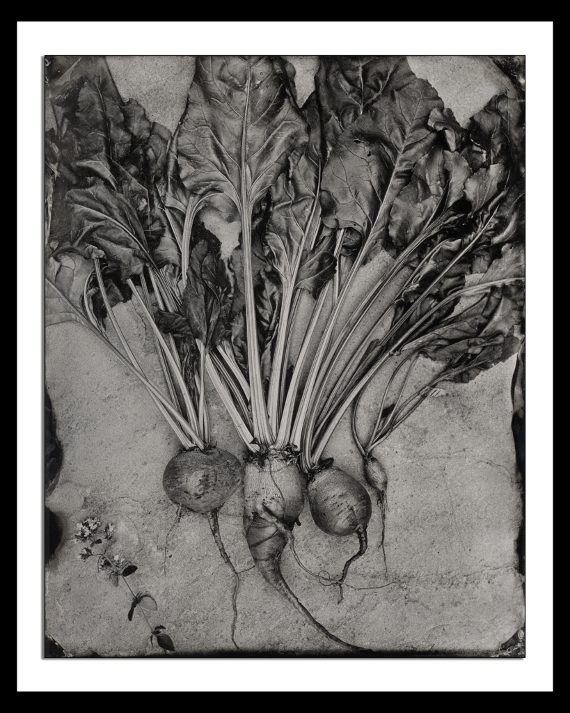 Beets