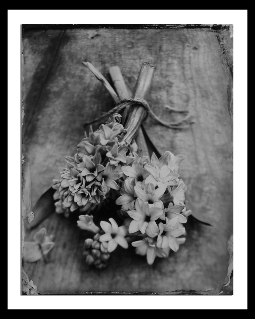 Hyacinths