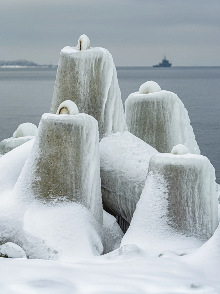 Tetrapods 013