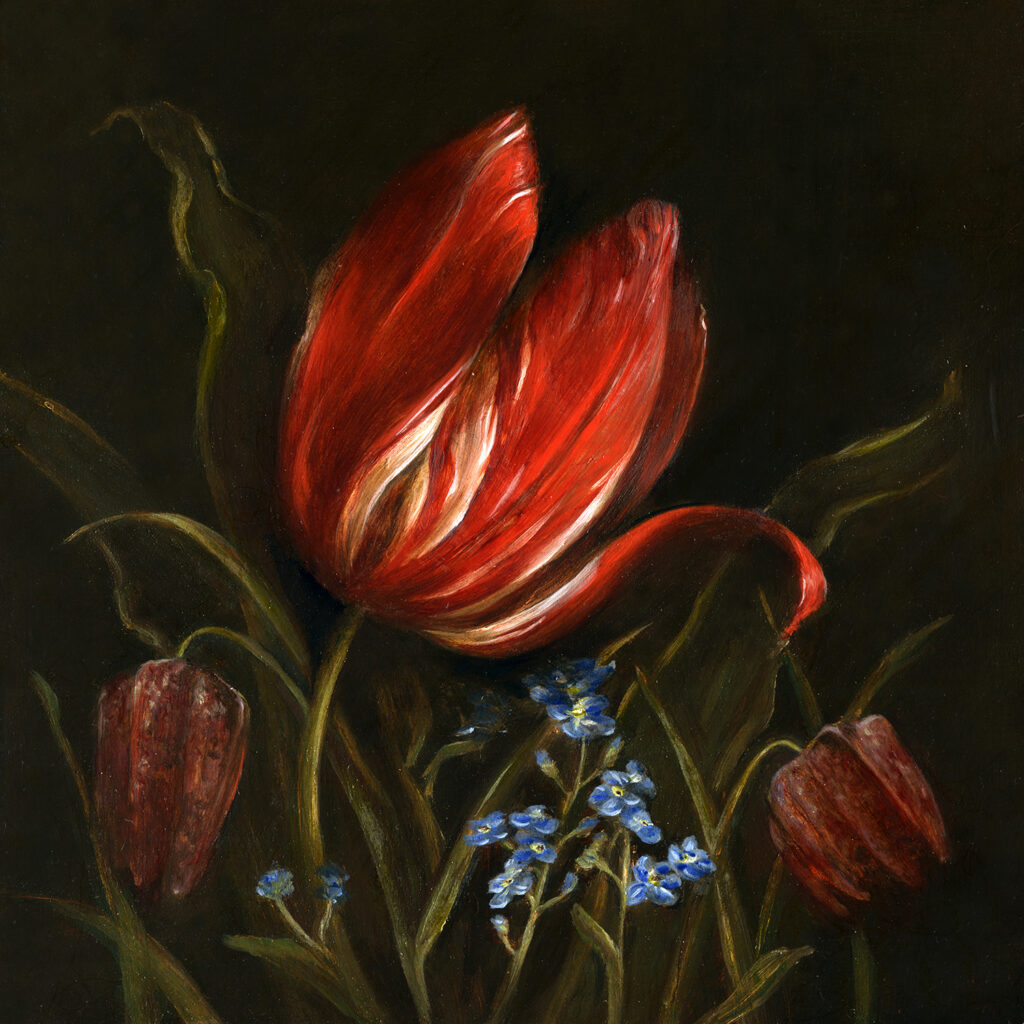 Zomerschoon Tulip (1620), F. Meleagris and Forget-me-not (2023)