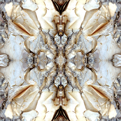Image for choice number 4